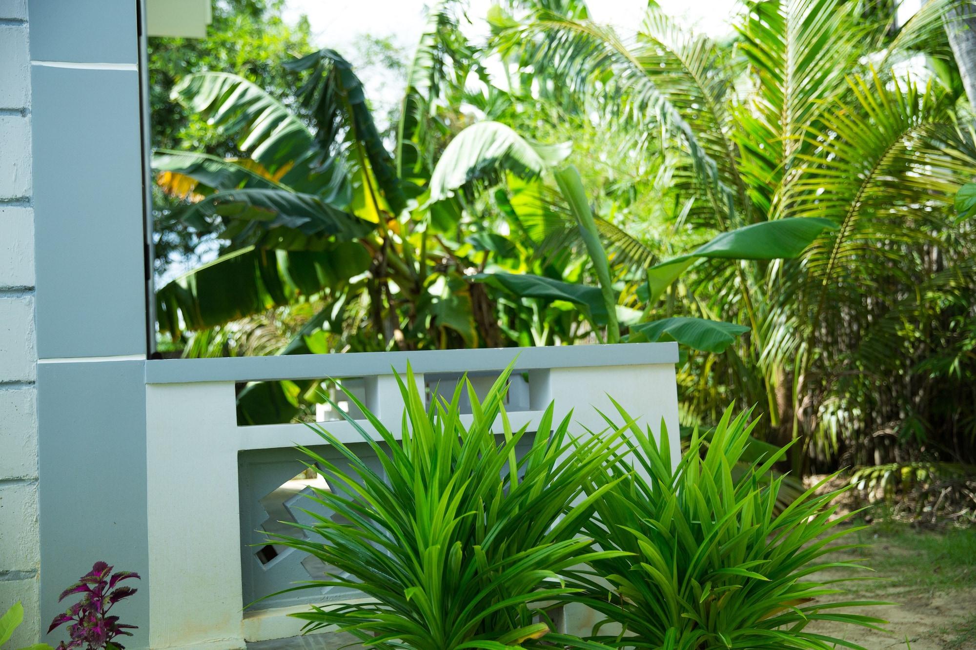 Mr Tho Garden Villas Hoi An Exteriör bild